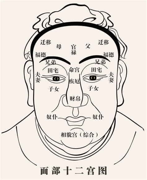 走老運的面相|面相｜盤點4種越老越有福氣的富貴臉型 同字臉生活富 